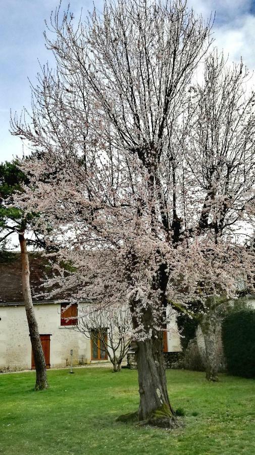 La Haute Traversiere Francueil Екстериор снимка